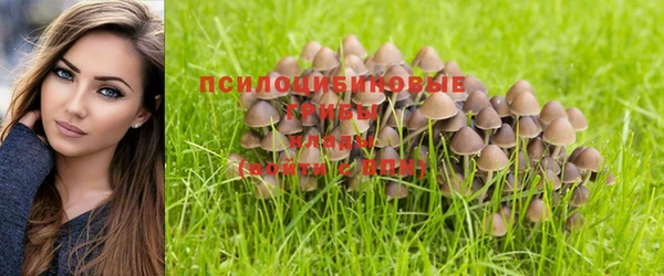 ешки Белокуриха