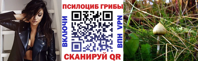 MEGA зеркало Балтийск Галлюциногенные грибы Magic Shrooms