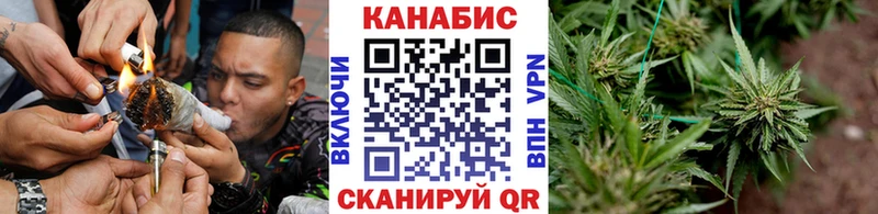 Канабис VHQ Балтийск